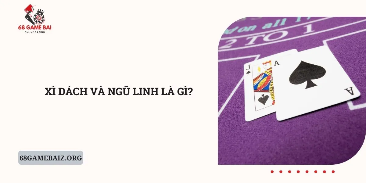 xi-dach-va-ngu-linh-la-gi